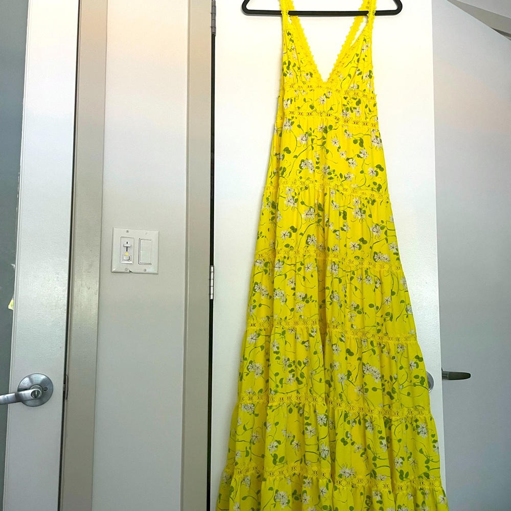 Alice + Olivia Karolina long floral maxi dress